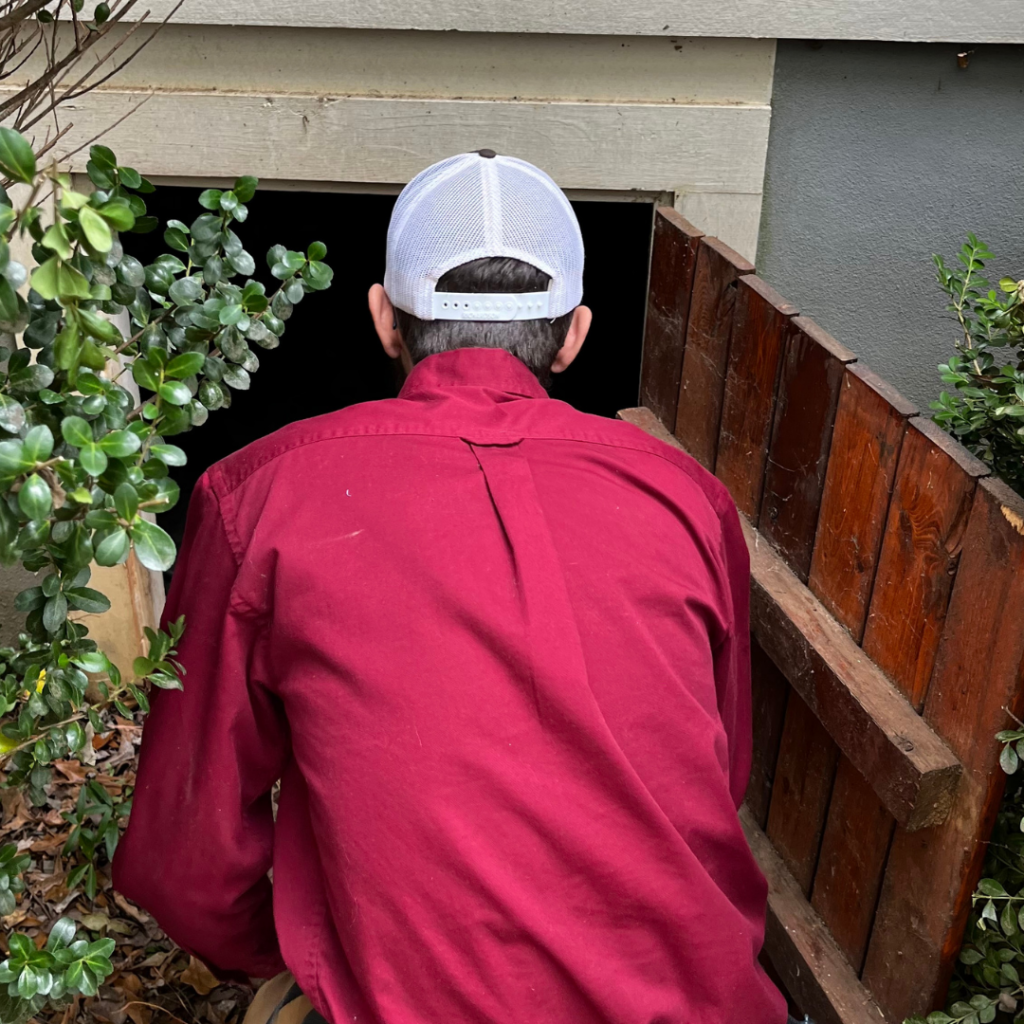 Crawlspace Inspection